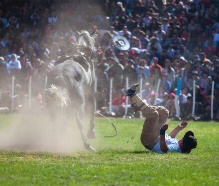 Rodeo and Stock show blog San Antonio Injury Lawyer at the Reyna Law Firm